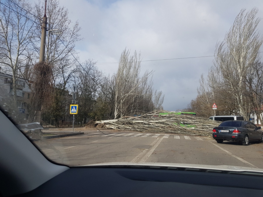 В Николаеве штормовой ветер валит деревья: повреждены автомобили, перекрыты улицы. ОБНОВЛЯЕТСЯ