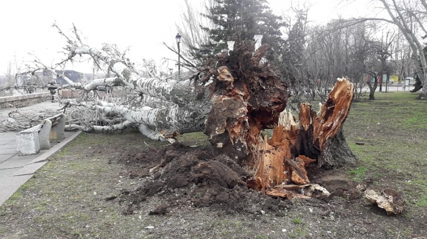 В Николаеве штормовой ветер валит деревья: повреждены автомобили, перекрыты улицы. ОБНОВЛЯЕТСЯ