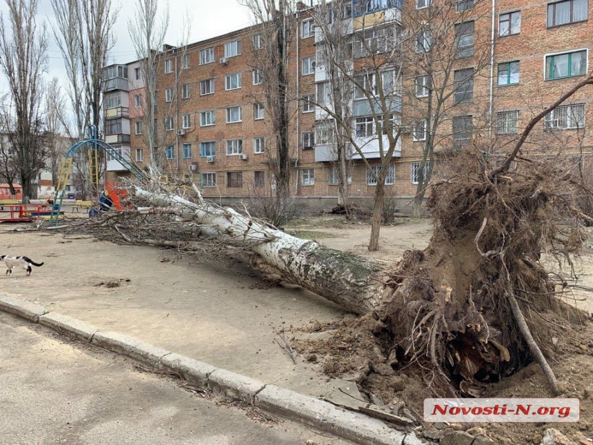 В Николаеве штормовой ветер валит деревья: повреждены автомобили, перекрыты улицы. ОБНОВЛЯЕТСЯ