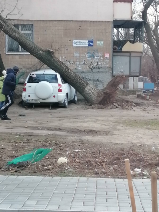 В Николаеве штормовой ветер валит деревья: повреждены автомобили, перекрыты улицы. ОБНОВЛЯЕТСЯ