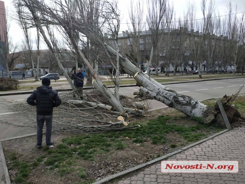 В Николаеве упавшие деревья перекрыли проезд по проспекту Центральному и ул. Космонавтов