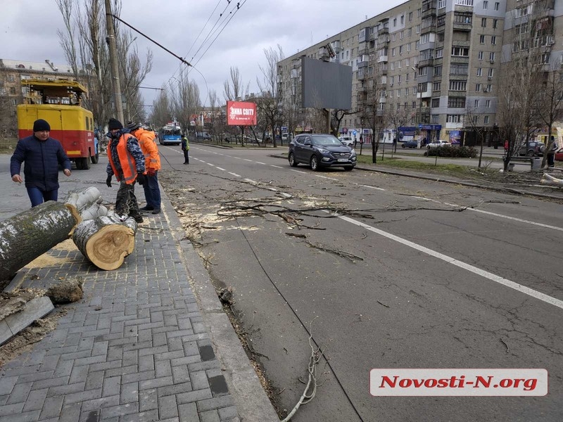 В Николаеве упавшие деревья перекрыли проезд по проспекту Центральному и ул. Космонавтов