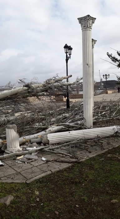 На Флотском бульваре в Николаеве тополь сломал декоративные колонны