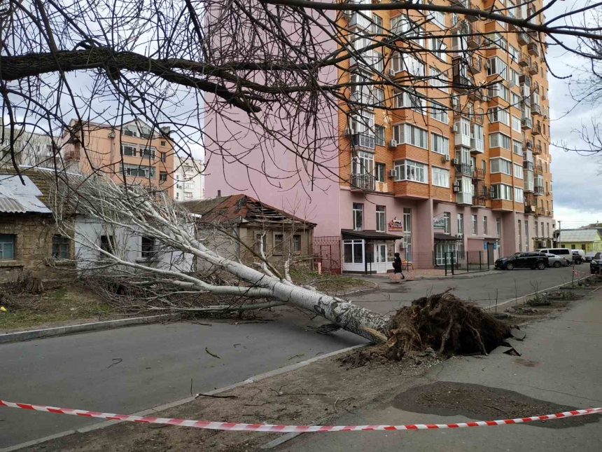 В Николаеве штормовой ветер валит деревья: повреждены автомобили, перекрыты улицы. ОБНОВЛЯЕТСЯ