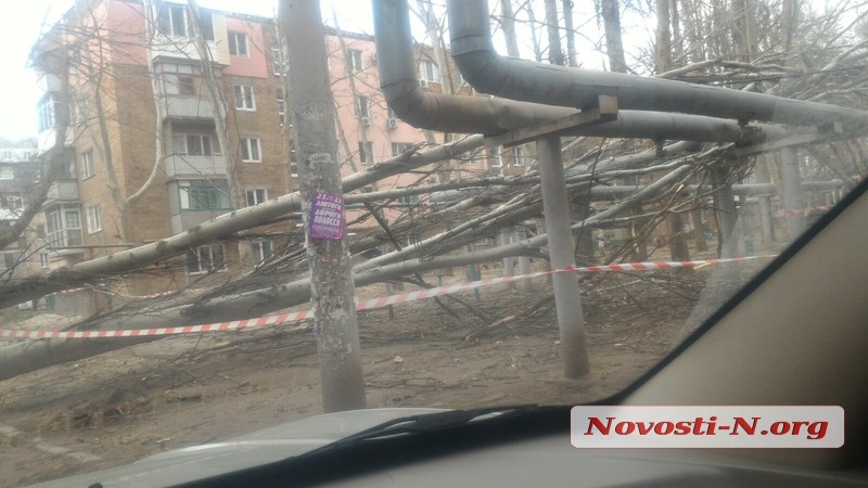 В Николаеве штормовой ветер валит деревья: повреждены автомобили, перекрыты улицы. ОБНОВЛЯЕТСЯ