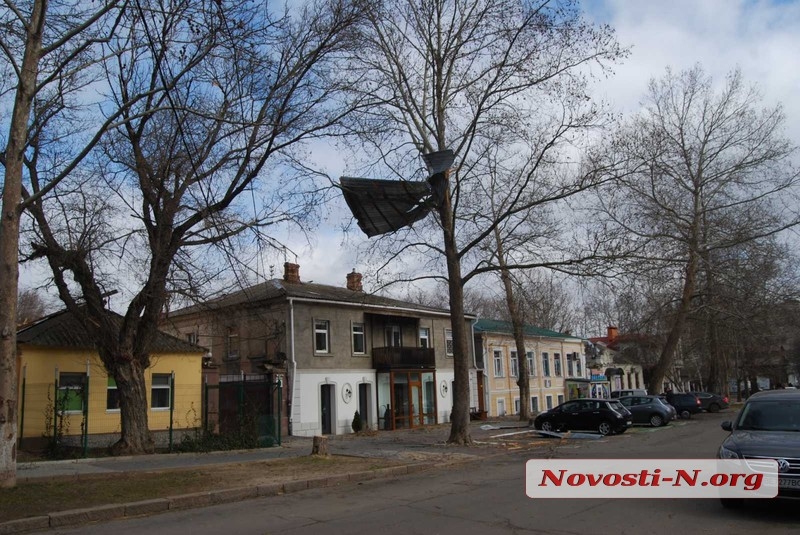 В Николаеве штормовой ветер валит деревья: повреждены автомобили, перекрыты улицы. ОБНОВЛЯЕТСЯ