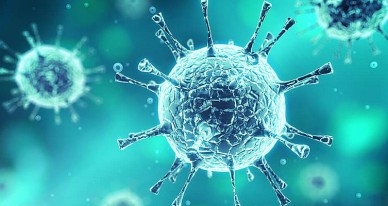 В Грузии подтвержден первый случай заражения коронавирусом