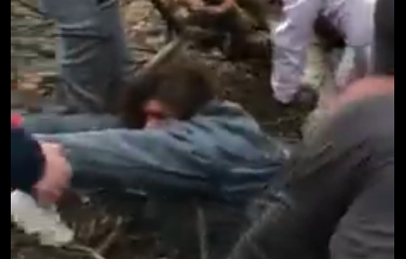 Губернатор Николаевщины лично спас девушку, которую привалило деревом. Видео