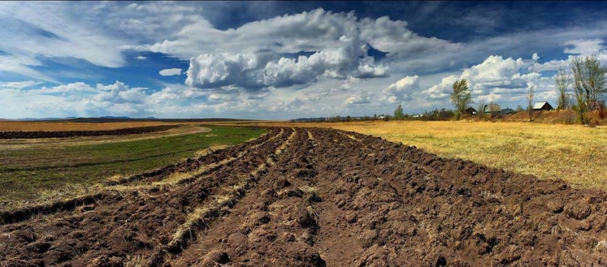 В Николаевской области 11177 участников АТО/ООС хотят получить землю