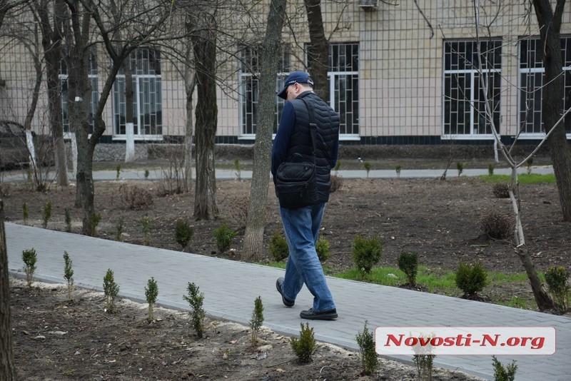  В Николаевском сквере искали «потерявшиеся» 1000 кустов самшита за 250 тыс.: пока не нашли