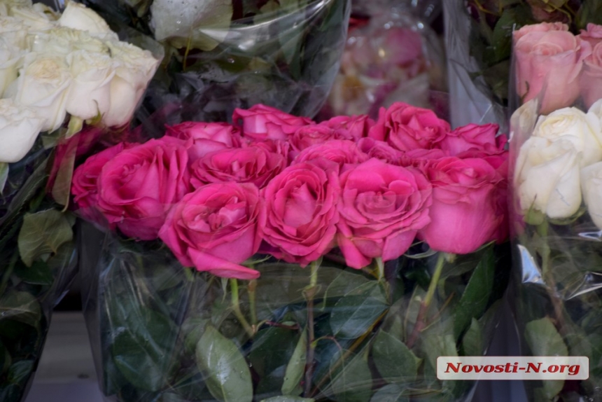 Тюльпаны и розы: есть ли предпраздничное подорожание на цветочном рынке Николаева