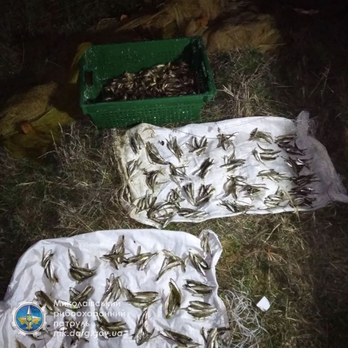 На Николаевщине поймали браконьеров, которые бреднем наловили рыбу на 27 тысяч гривен