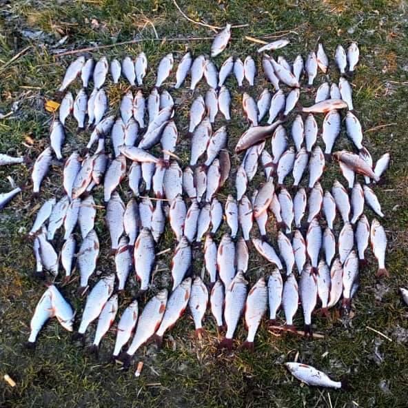 На Николаевщине разоблачили браконьеров, которые наловили рыбы на 17 тыс. грн.