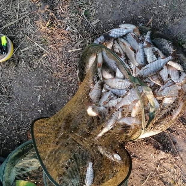 На Николаевщине разоблачили браконьеров, которые наловили рыбы на 17 тыс. грн.