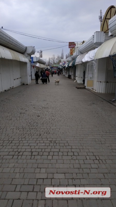 В Николаеве продуктовая часть рынка «Колос» работает, ряды промтоваров закрыты. ФОТОРЕПОРТАЖ