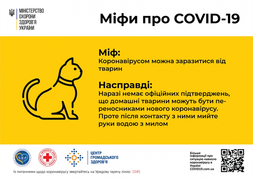 В Минздраве сообщили, можно ли заразиться коронавирусом от кошек и собак