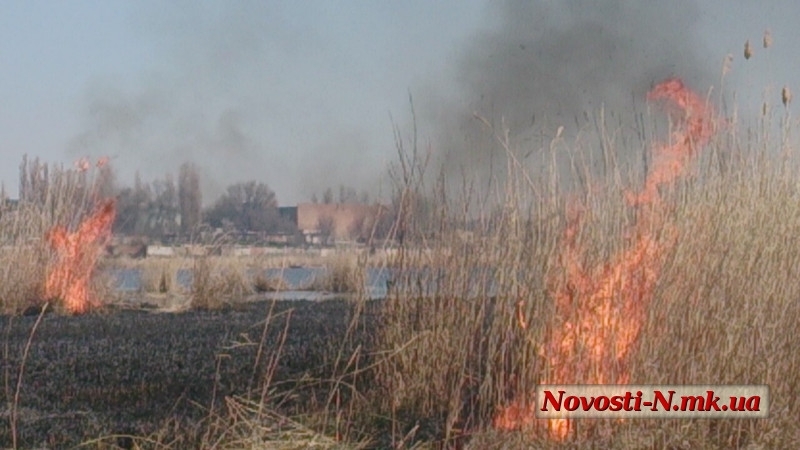 В Николаевской области из-за умышленных поджогов за сутки сгорело 5,5 га камыша