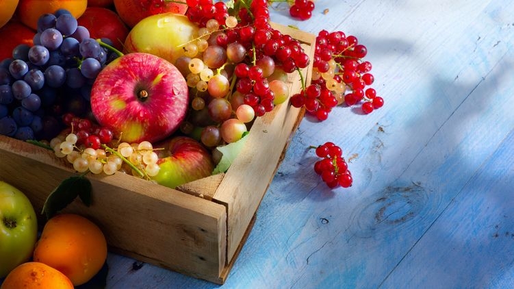 Потери урожая фруктов и ягод от апрельских заморозков в Украине составят до 80% - эксперты