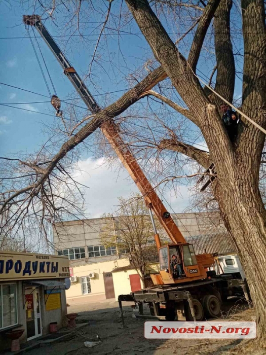 В Николаеве перевернулся подъемный кран