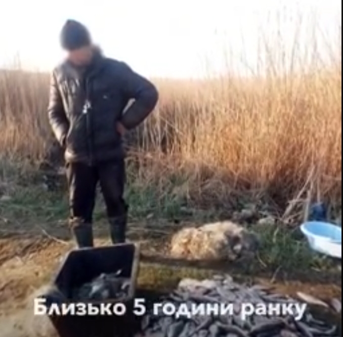 На Николаевщине задержали браконьеров с центнером рыбы в сетях