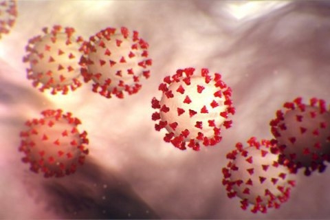 Ученые рассказали, как долго после выздоровления человек может разносить коронавирус
