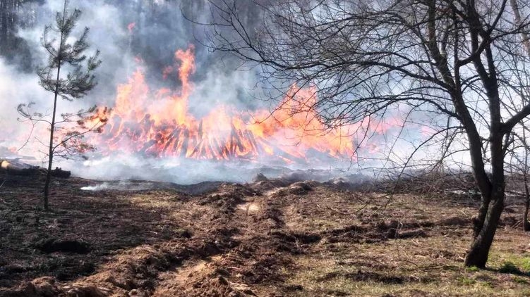 Пожар в лесу Чернобыльской зоны отчуждения тушат с помощью самолетов и вертолетов