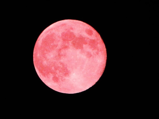 Ночью в Украине можно было любоваться Розовой луной