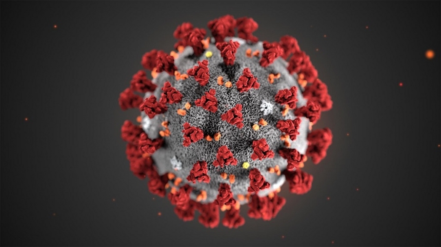 Ученые создали искусственный вирус, блокирующий коронавирус