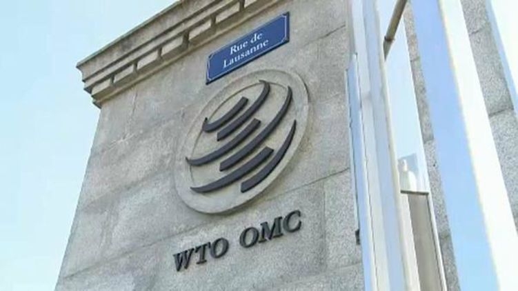 ВТО обязала Украину закупать нитрат аммония у России до середины сентября