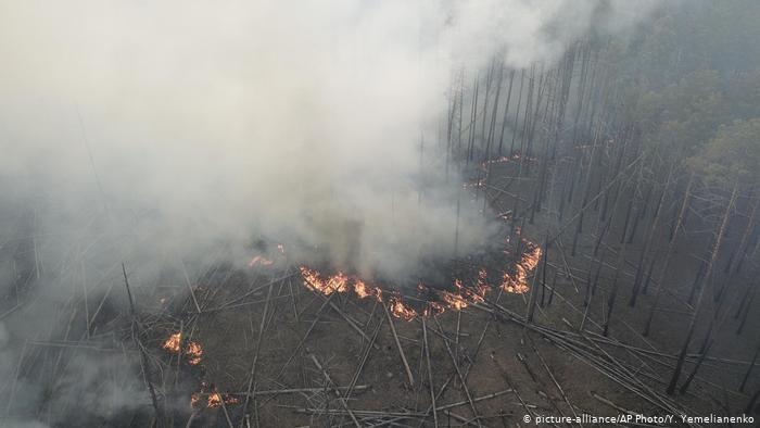 Поджигателю леса в Чернобыльской зоне вручили подозрение