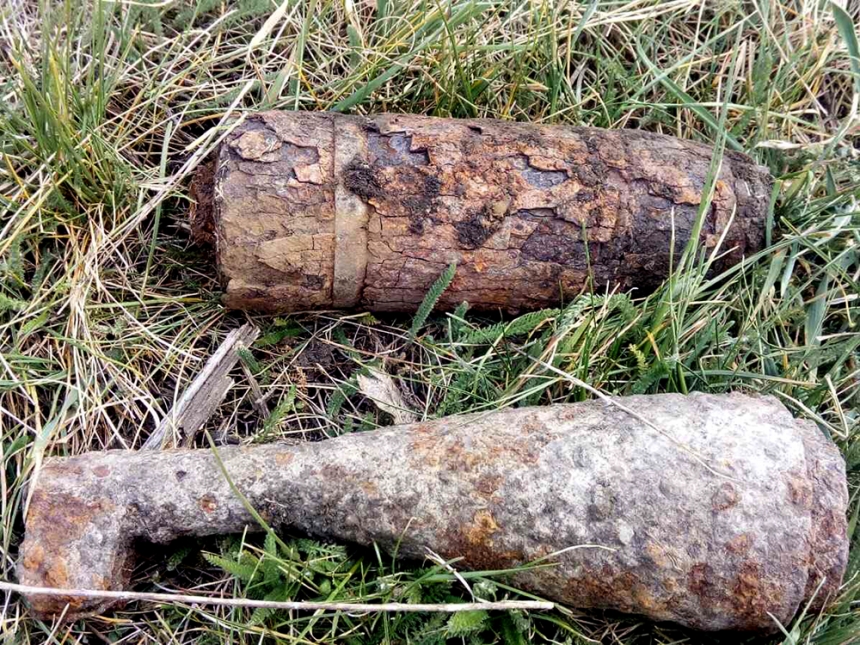 На Николаевщине мужчина во время поиска металлолома нашел мину и артснаряд 