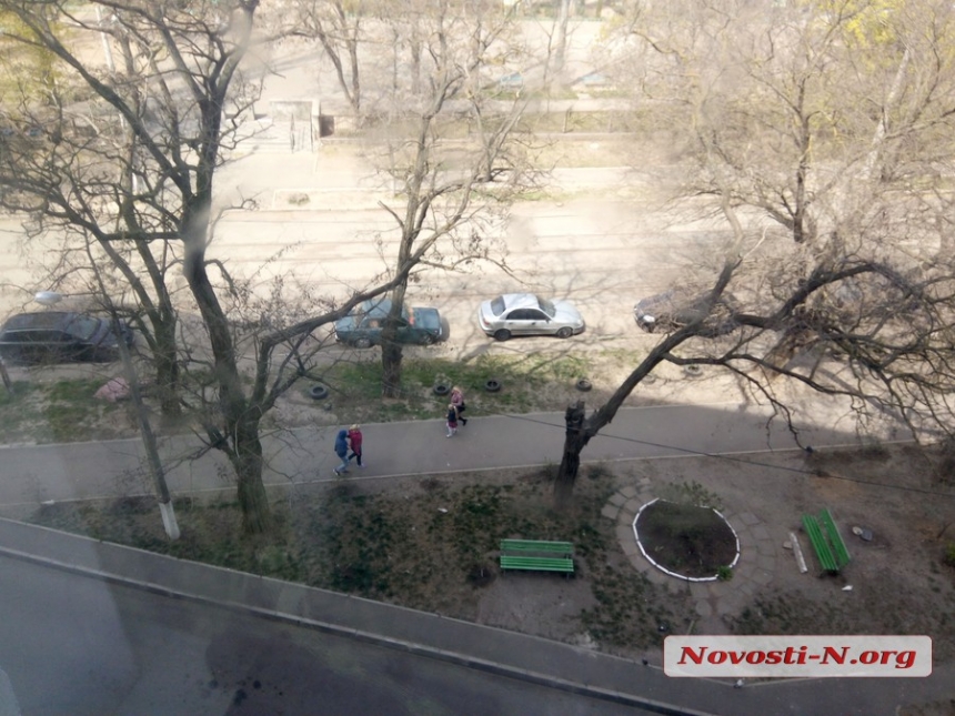 В Николаеве ветка повисла над тротуаром: коммунальные службы бездействуют