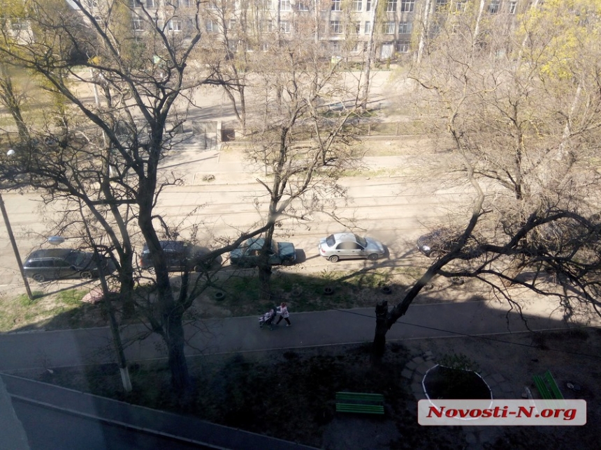 В Николаеве ветка повисла над тротуаром: коммунальные службы бездействуют