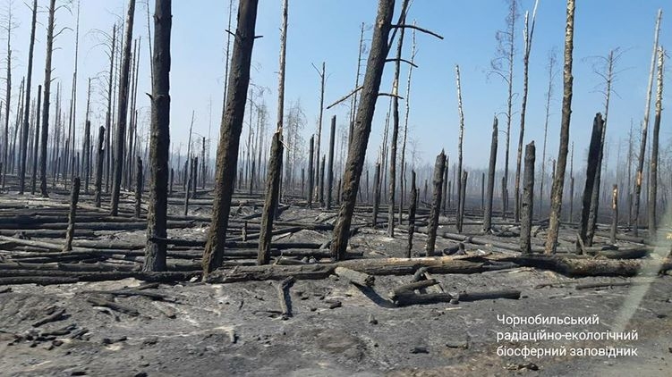 В Чернобыльской зоне продолжает гореть лес: пожар тушит авиация