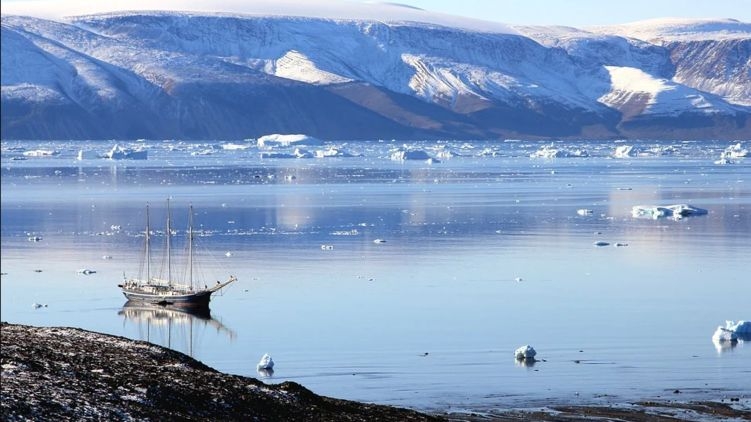 Гренландия первой в мире победила коронавирус
