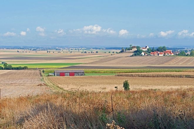 На Николаевщине школа незаконно передала в пользование предпринимателю 87 га земли