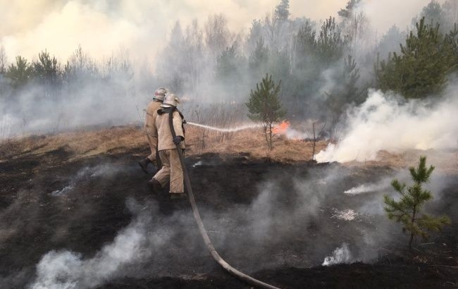 Пожары в Житомирской области тушат при помощи авиации и спецпоезда