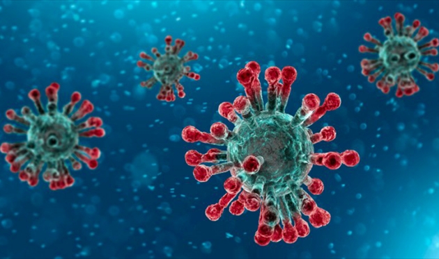 Почти половину больных коронавирусом заразили бессимптомные носители