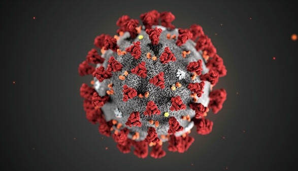 В мире число заболевших коронавирусной инфекцией приближается к 3 миллионам