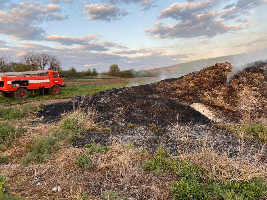 С начала года количество пожаров в экосистемах Николаевской области выросло на 63,5%