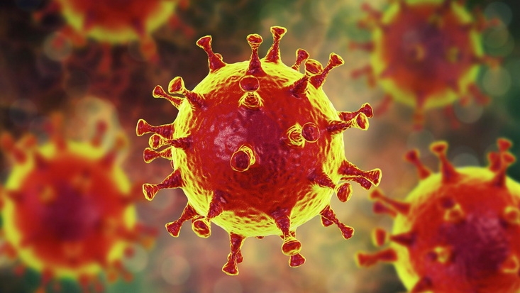 Признаки коронавируса по дням. Как протекают 22 дня в легкой и тяжелой формах