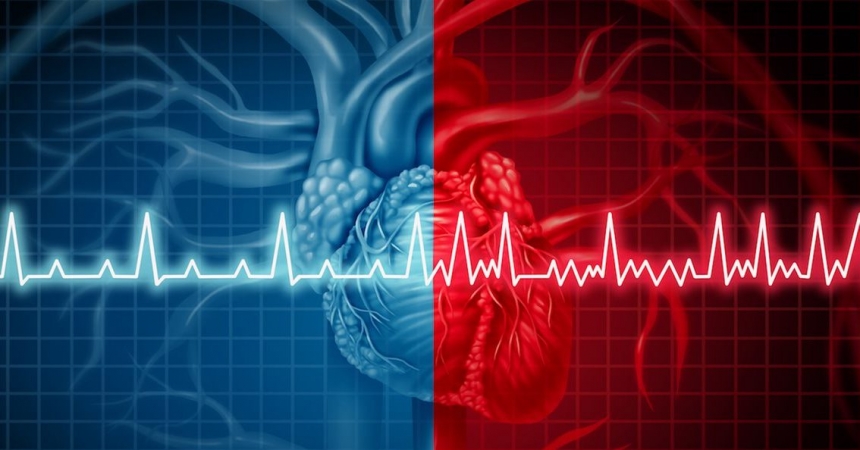 Сердцебиение влияет на восприятие мира — исследование 