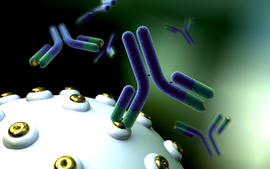Генетики синтезировали антитело, способное победить коронавирус