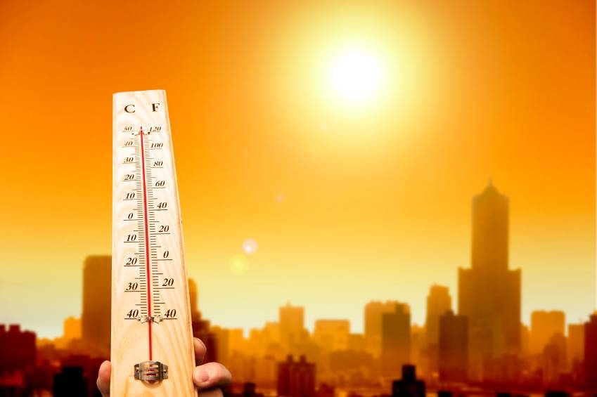 В ближайшие 50 лет более миллиарда людей будут жить в невыносимой жаре, - исследование