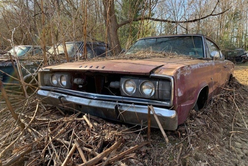 В лесу обнаружили кладбище полувековых Dodge Charger