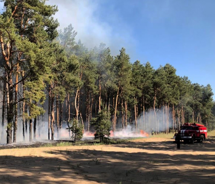 На Николаевщине из-за поджогов горели леса:  