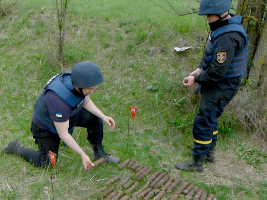 На пастбище в Николаевской области нашли 90 взрывоопасных предметов. Видео