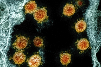 Определена новая смертельная опасность коронавируса