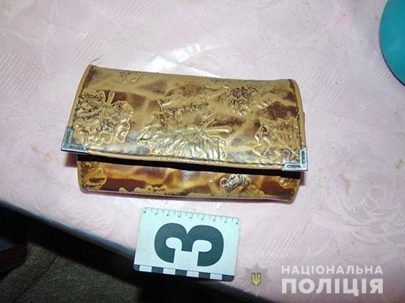 Полиция задержала «гастролеров-рецидивистов», избивших и ограбивших бабушку на Николаевщине