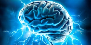 В головном мозге нашли ранее неизвестный феномен